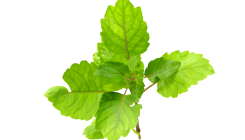 ChatGPT Image Dec 1, 2025, 01_04_43 AM