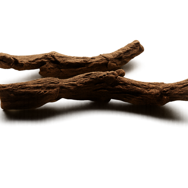 ChatGPT Image Dec 1, 2025, 01_07_52 AM