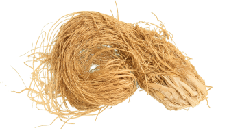 ChatGPT Image Dec 1, 2025, 12_49_28 AM