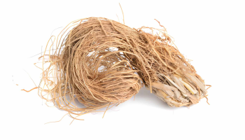 Vetiver_4_3
