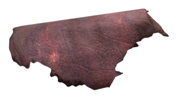 social_butterfly_leather_base_notes (1)